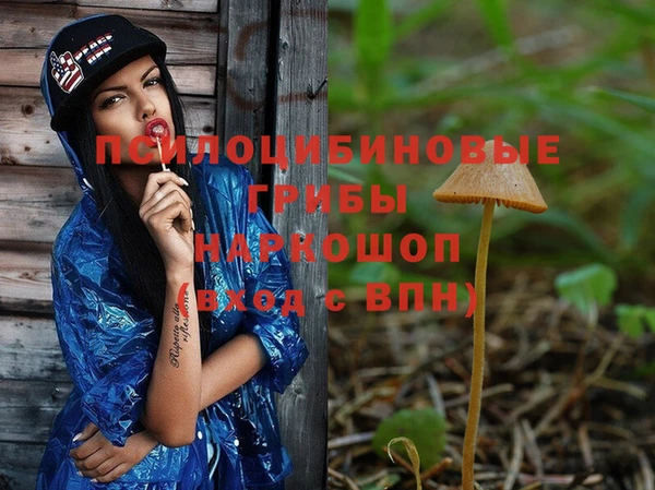 винт Михайловка