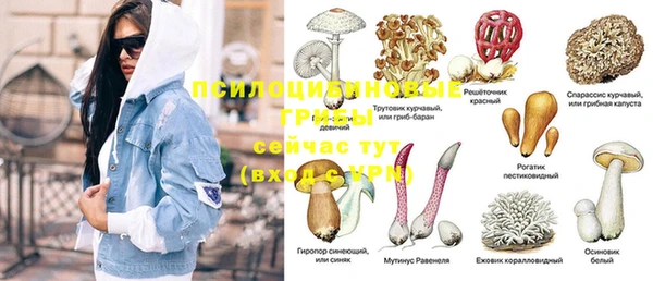 винт Михайловка