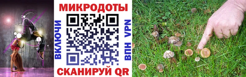 Псилоцибиновые грибы MAGIC MUSHROOMS  цена   Отрадная 