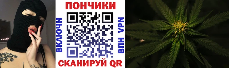 Каннабис планчик  kraken   Отрадная 